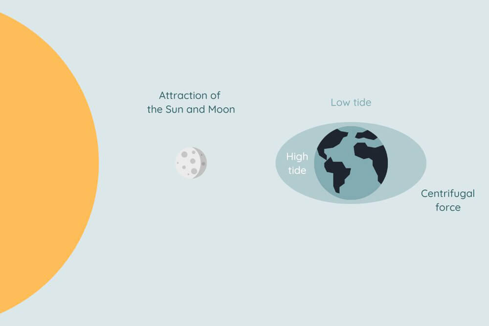 why there is high tide and low tide